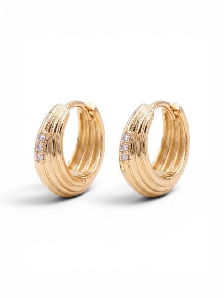 Sıra Taşlı Minik Halka Küpe